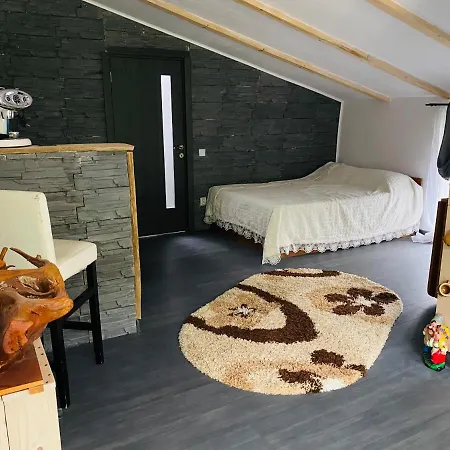בית אירוח “ Casa Saryl “ Tîrgu Ocna