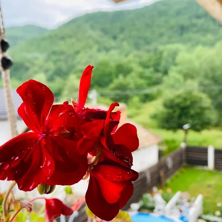 Privat bolig “ Casa Saryl “ Tîrgu Ocna