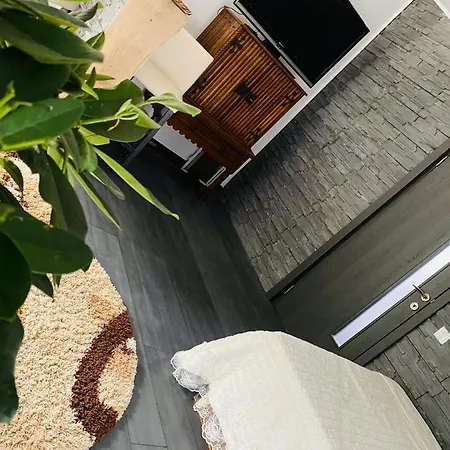 בית אירוח “ Casa Saryl “ *